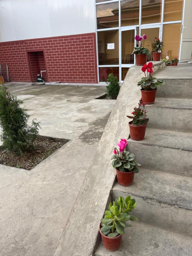 City View Hostel Tashkent Esterno foto